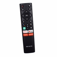CONTROLE LCD PANASONIC NETFLIX/YOUTUBE/GOOGLE/GLOBOPLAY SKY-9170  