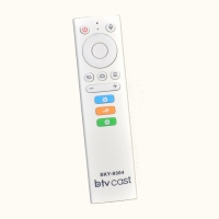 CONTROLE RECEPTOR BTV CAST SKY-9304                               